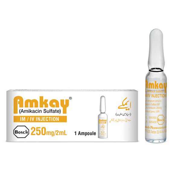 Amkay Injection 250mg/2ml 1'S