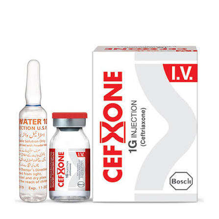 Cefxone Injection IV 1gm 1S