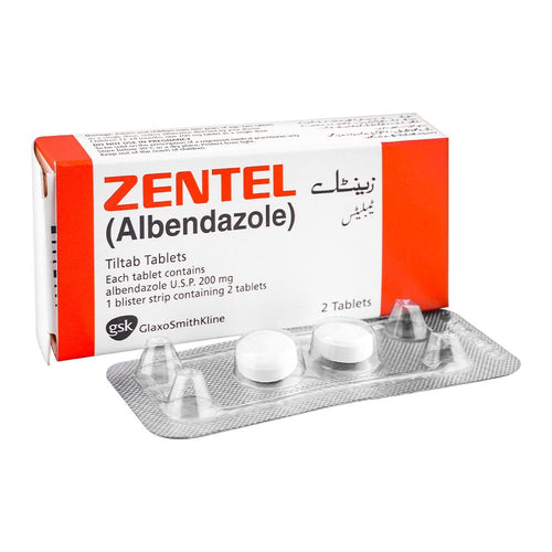 Zentel Tablet 2S