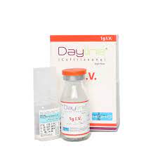 Dayline 1gm IV Injection 1S