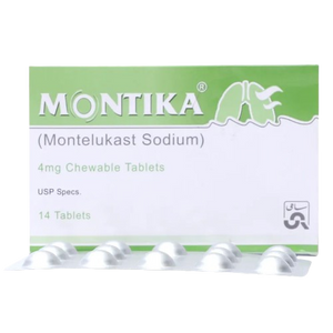 MONTIKAÂ TABLET CHEW 4 MG 14S