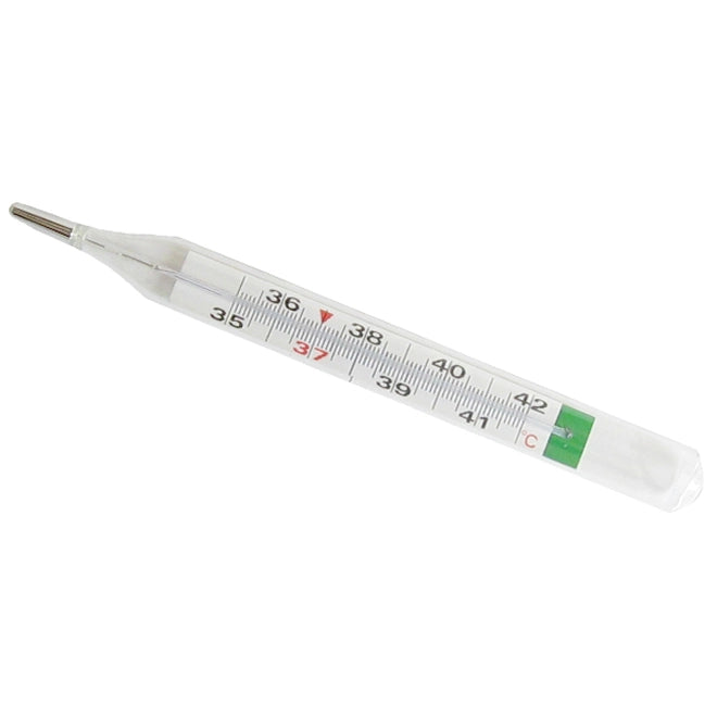 THERMOMETER MERCURY FREE 1S
