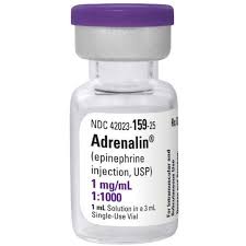 Adrenaline Injection 1X100S