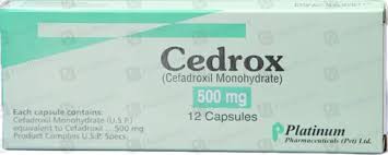 Cedrox -BD Tablet 500 mg 12S