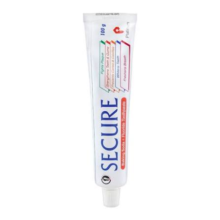 Secure 100gm Tooth Paste 1S