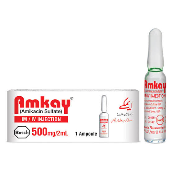 Amkay Injection 500 mg 2 ml 1S