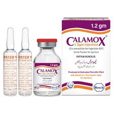 Calamox Injection 1.2gm 1S