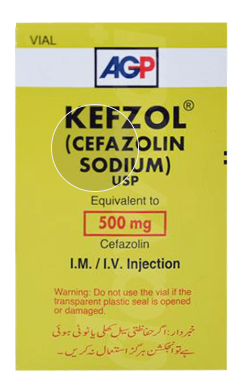 KEFZOL 500GM INJECTION 1S