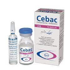 CEBAC INJECTION 2 GM 1 VIAL-Medicines-BOSCH PHARMA-Meri Pharmacy