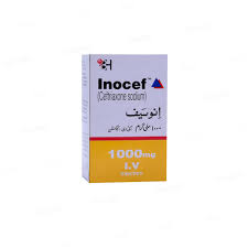 INOCEF INJ IV 1 GM 1S-Medicines-BARRETT HODGSON-Meri Pharmacy