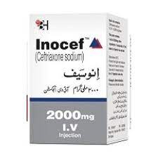 INOCEFINJECTION IV 250MG 1S