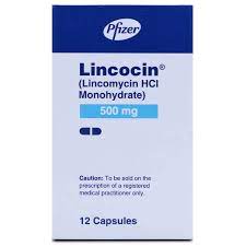 LINCOCIN CAPSULE 500 MG 3X4'S