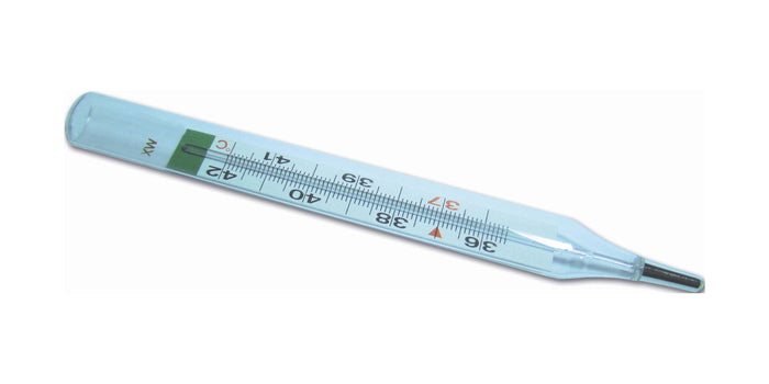 THERMOMETER MERCURY FREE 1S